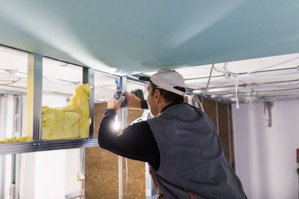 Best Insulation Maintenance and Repair in Colonia, NJ